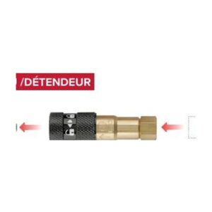 Embout femelle ISOCOUPLE Gaz neutre détendeur 12 x 100 D Le Lorrain
